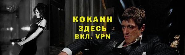 PSILOCYBIN Медногорск